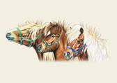 Pony, Equine Art - Three Ponies